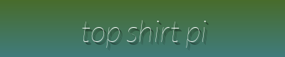 Top Shirt Picks | Classic Button-Down Shirts, Cozy Flannel Shirts, Silk Blouses & More